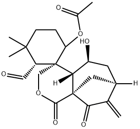 ISODONAL Structural