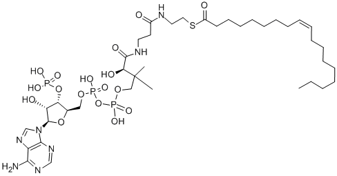 Oleoyl coenzyme A Structural