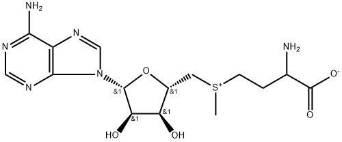 S-ADENOSYL-L-METHIONINE Structural