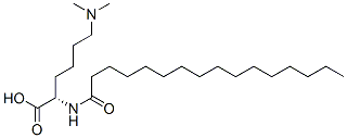 N6,N6-dimethyl-N2-palmitoyl-L-lysine  Structural