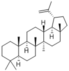 LUP-20(29)-ENE Structural