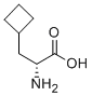 D-Cyclobutylalanine Structural