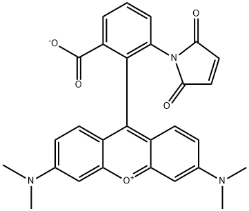 TETRAMETHYLRHODAMINE-6-MALEIMIDE  FOR Structural