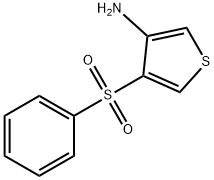 4-(PHENYLSULFONYL)THIOPHEN-3-AMINE Structural