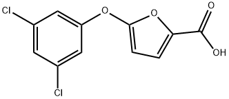 5-(3,5-DICHLOROPHENOXY)-2-FUROIC ACID