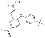 3-{2-[4-(TERT-BUTYL)PHENOXY]-5-NITROPHENYL}ACRYLIC ACID