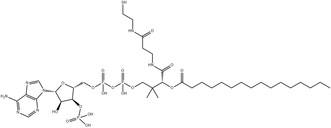 PALMITOYL COENZYME A POTASSIUM SALT Structural