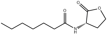 C7-HSL Structural