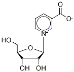 Nicotinic Acid Riboside Structural