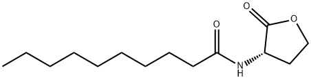 C10-HOMOSERINE LACTONE Structural