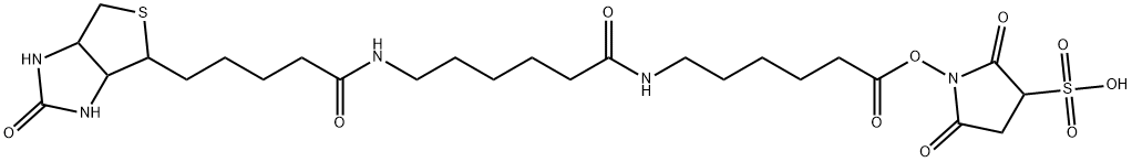 SULFOSUCCINIMIDYL N-[N'-(D-BIOTINYL)-6-AMINOHEXANOYL]-6'-AMINOHEXANOATE Structural