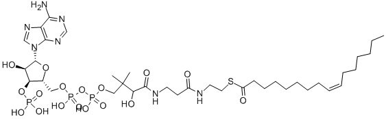 (C16:1) COENZYME A