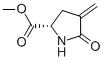 L-Proline, 4-methylene-5-oxo-, methyl ester (9CI) Structural