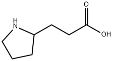 3-Pyrrolidin-2-yl-propionic acid Structural