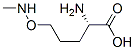 L-Norvaline, 5-[(methylamino)oxy]- (9CI) Structural
