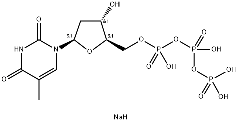 Deoxythymidine triphosphate