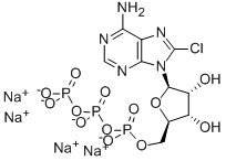 8-CHLOROADENOSINE-5'-O-TRIPHOSPHATE SODIUM SALT