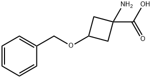 1-AMINO-3-BENZYLOXYCYCLOBUTANE-1-CARBOXYLIC ACID