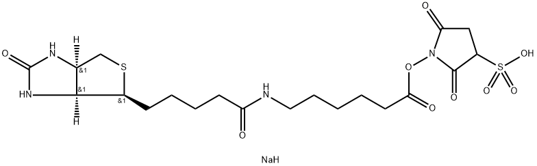 BIOTINAMIDOHEXANOIC ACID 3-SULFO-N-HYDROXYSUCCINIMIDE ESTER SODIUM SALT Structural