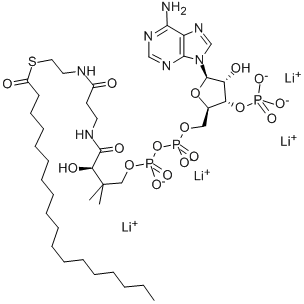 N-OCTADECANOYL COENZYME A LITHIUM SALT Structural