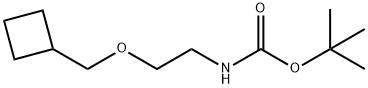 tert-Butyl N-[2-(cyclobutylmethoxy)ethyl]carbamate Structural