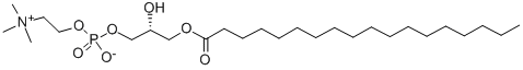 L-ALPHA-LYSOPHOSPHATIDYLCHOLINE, STEAROYL