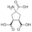 ACPT-II Structural