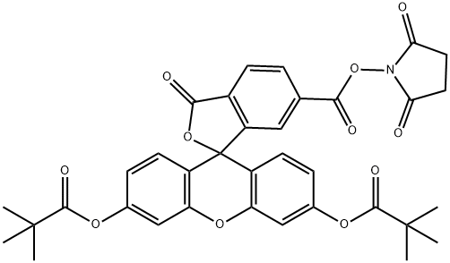 5,6-CARBOXYFLUORESCEIN DIPIVALATE SUCCINIMIDE ESTER