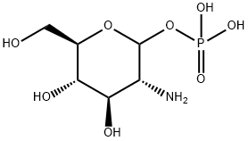 D-Glucosamine-1-phosphate Structural