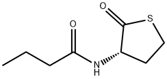 N-BUTYRYL-L-HOMOCYSTEINE THIOLACTONE