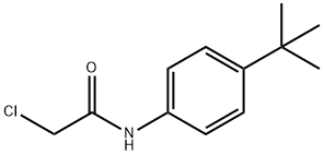 N1-[4-(TERT-BUTYL)PHENYL]-2-CHLOROACETAMIDE