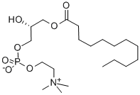 L-ALPHA-LYSOPHOSPHATIDYLCHOLINE, LAUROYL