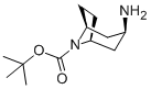 N-Boc-endo-3-aminotropane Structural