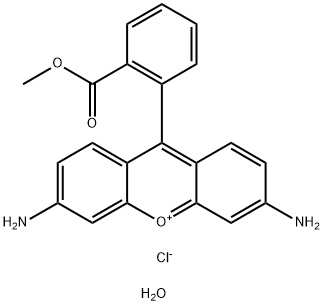 RHODAMINE 123 HYDRATE