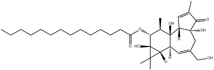 PHORBOL-12-MONOMYRISTATE