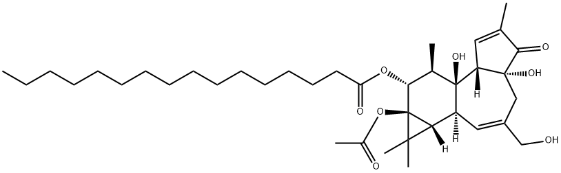 12-O-hexadecanoylphorbol-13-acetate