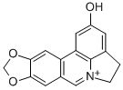 2121-12-2 structural image