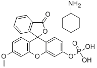 3-O-METHYLFLUORESCEIN PHOSPHATE CYCLOHEXYLAMMONIUM SALT Structural