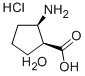 cis-2-Amino-1-cyclopentanecarboxylic acid hydrochloride hemihydrate, 99 Structural