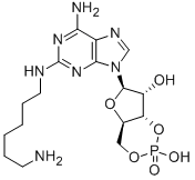 2-(6-AMINOHEXYL) AMINOADENOSINE-3',5'-CYCLIC MONOPHOSPHATE