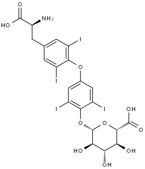 thyroxine glucuronide Structural