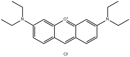 CI 45010 Structural