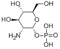 A-D-glucosamine 1-phosphate free acid,ALPHA-D-GLUCOSAMINE 1-PHOSPHATE,α-d-glucosamine 1-phosphate,glucosamine 1-phosphate