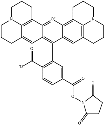 6-ROX, SE Structural