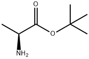 tert-butyl L-alaninate Structural