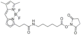 3-BODIPY-PROPANOYLAMINOCAPROIC ACID, N-HYDROXYSUCCINIMIDE ESTER