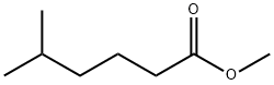 METHYL 5-METHYLHEXANOATE