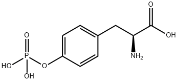 O-PHOSPHO-L-TYROSINE Structural