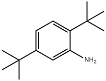 2,5-DI-TERT-BUTYLANILINE Structural