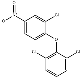 1,3-DICHLORO-2-(2-CHLORO-4-NITROPHENOXY)BENZENE